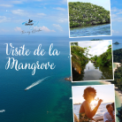 Avec Maman - SORTIE BATEAU - Mangrove, Admirez la biodiversité unique de Guadeloupe - SUNSET JET FWI