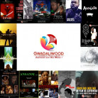 NOUVEAU - Films en ligne - GWADALIWOOD.TV - Pack CINE GWADA - 15 fictions guadeloupéennes à découvrir