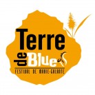 Terre de Blues Festival 2024 - Du 17 au 20 mai à Marie-galante
